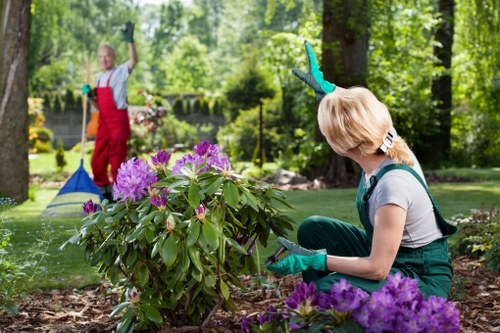 Seasonal landscaping tips for Sydenham residents