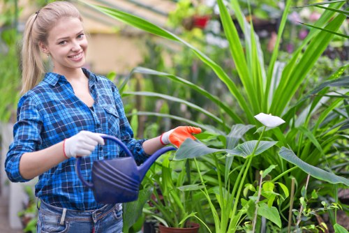 Professional lawn mowing service in Sydenham