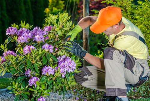 Hedge trimming tools and equipment in use