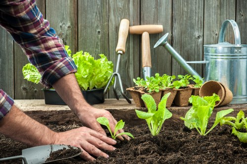 Variety of plants suitable for Sydenham gardens