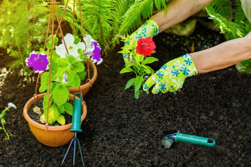 Enhanced garden biodiversity with well-trimmed hedges