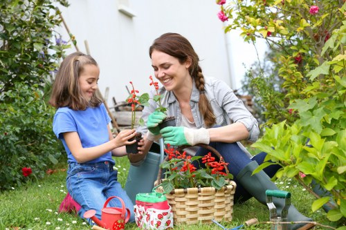 Maintaining a pristine deck with cleaning and repairs