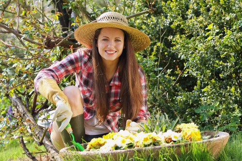 Healthy and neatly shaped hedges by experts
