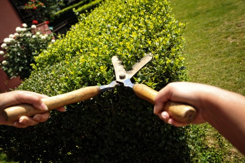 Sydenham lawn care professionals at work