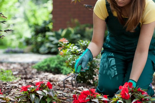 Comprehensive lawn care solutions