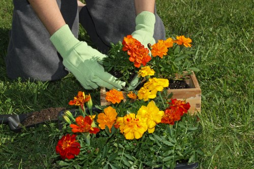 Eco-friendly landscaping practices in Sydenham
