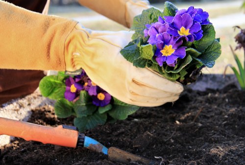 Comprehensive garden clearance services being performed