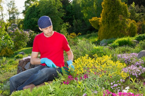 Before-and-after of a trimmed suburban garden