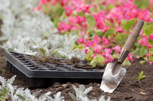 Professional garden maintenance services in Sydenham