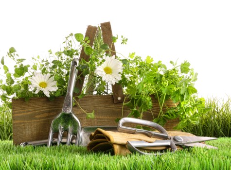 Eco-friendly lawn maintenance practices