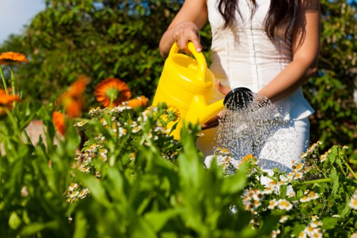 Professional landscapers working in Sydenham