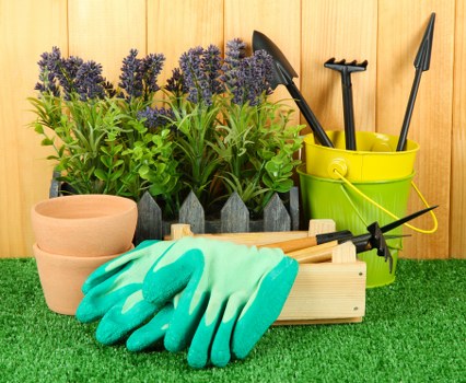 Healthy green lawn maintained regularly