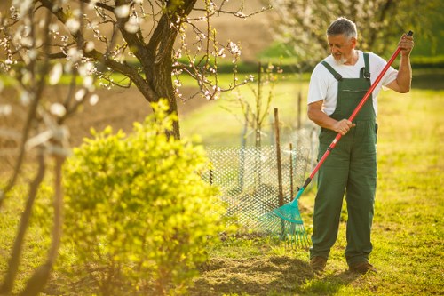 Eco-friendly garden clearance practices in Sydenham