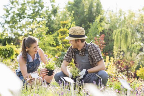 In a lush garden setting near Sydenham, two gardeners are actively engaged in planting or tending to flowering plants. The foreground features a vibrant flower bed filled with various colourful blooms, with some taller plants visible at the edges. Two individuals, dressed in gardening attire including gloves, are working together, one holding a small potted plant and the other using gardening tools. Behind them, the garden includes a well-maintained lawn with dense, green grass, bordered by neatly trimmed hedges and a variety of shrubs. Mature trees with leafy canopies provide dappled sunlight, illuminating the scene with natural light and creating a peaceful outdoor atmosphere. The background shows additional garden elements such as pathways, soil beds, and possible garden furniture, all contributing to a tidy, landscaped outdoor space suitable for gardening activities and lawn care services offered by Lawn Mowing Sydenham. The environment appears bright and cheerful with clear weather, ideal for outdoor gardening work, conveying a professional yet natural connection to local gardening and lawn maintenance in Sydenham.
