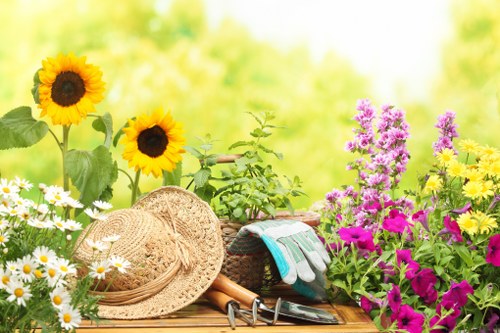 Customized lawn mowing patterns enhancing Sydenham lawns